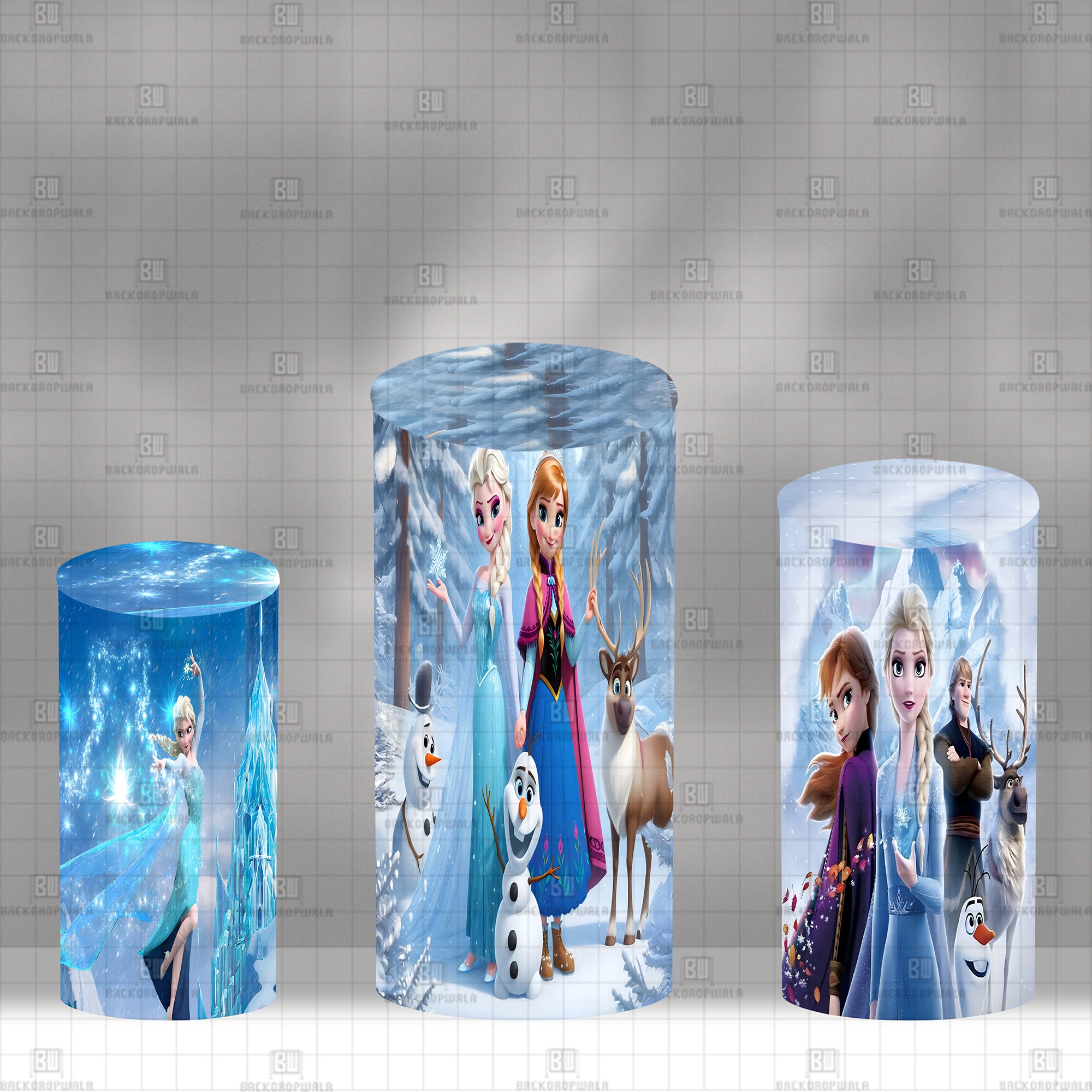 The Disney Frozen Theme Drum Cover Backdrop
