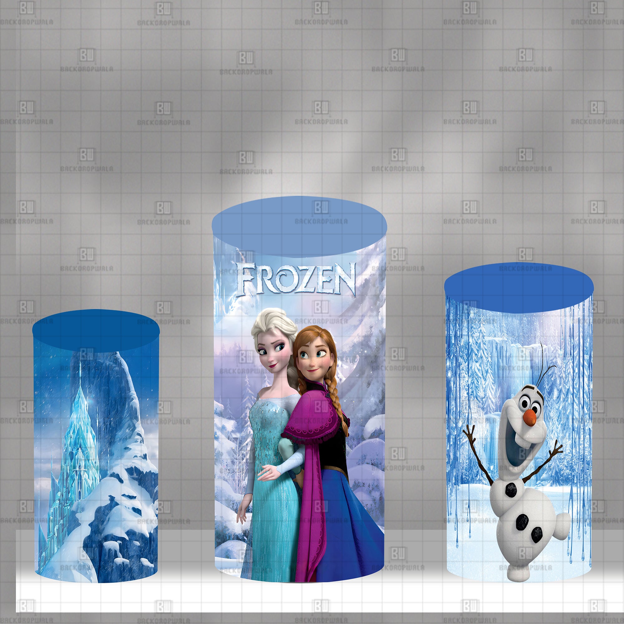Frozen Princess Theme Drum Cover Backdrop