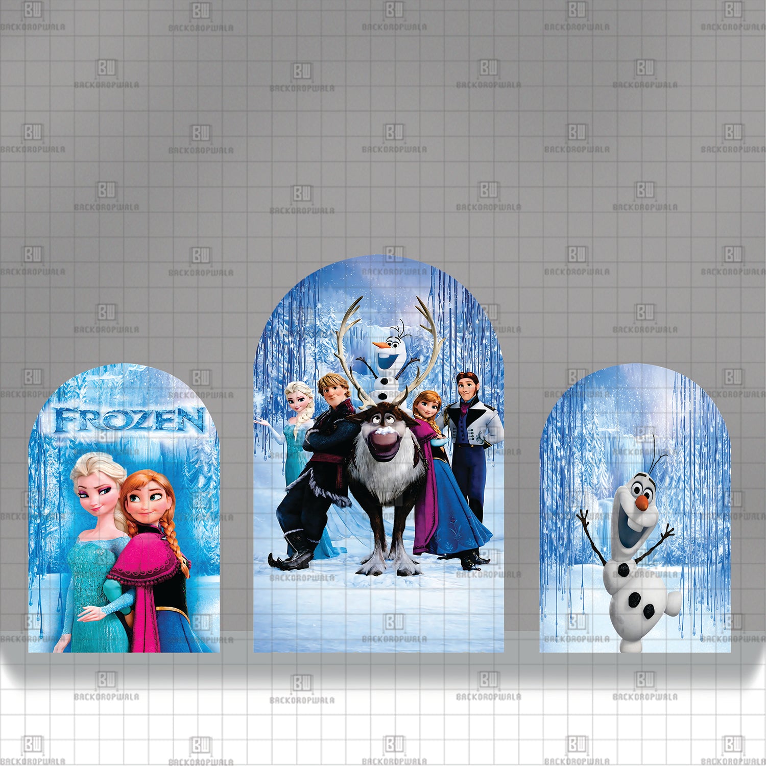 Frozen Theme Printed Event Backdrop