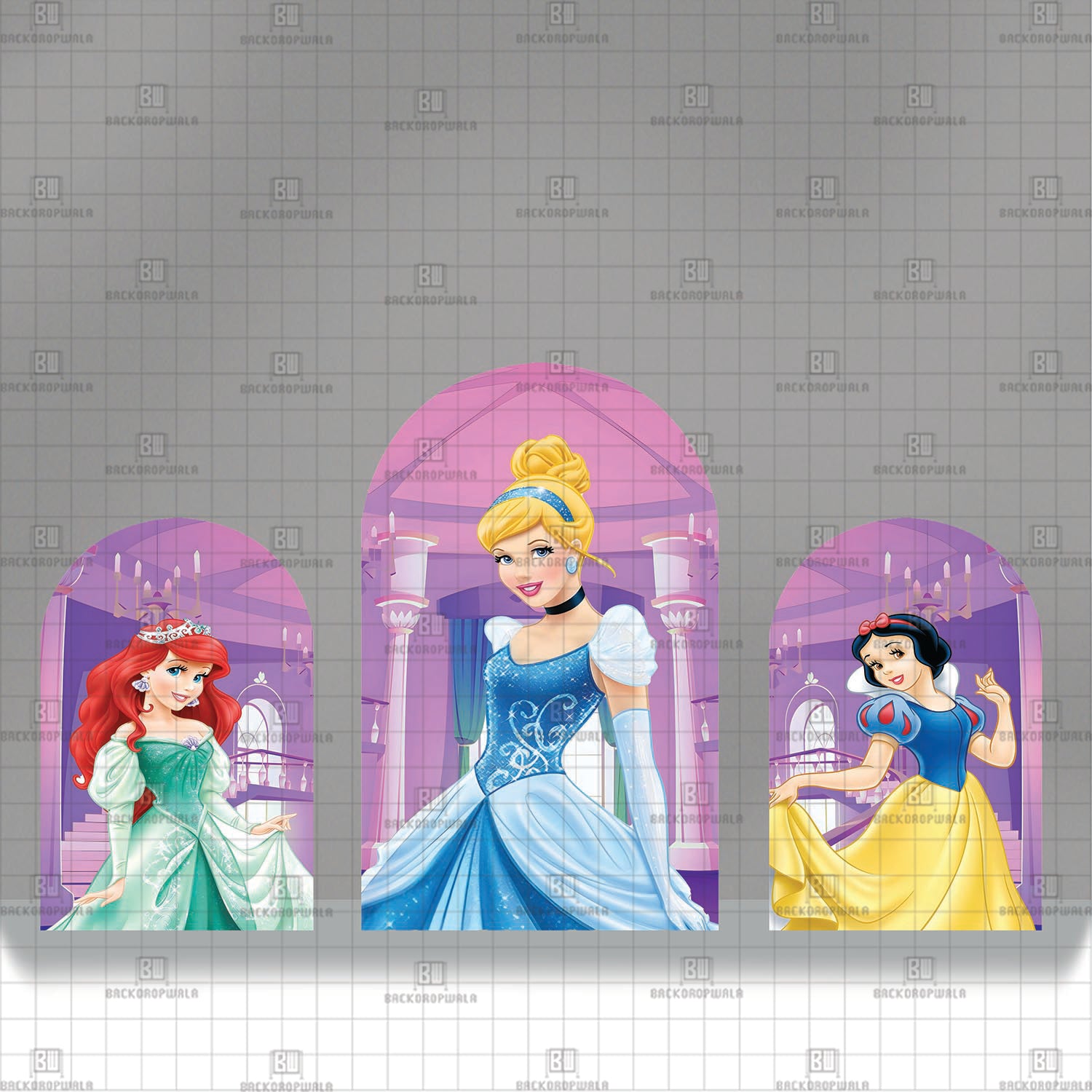 Cinderella’s Grand Entrance Theme Printed Event Backdrop