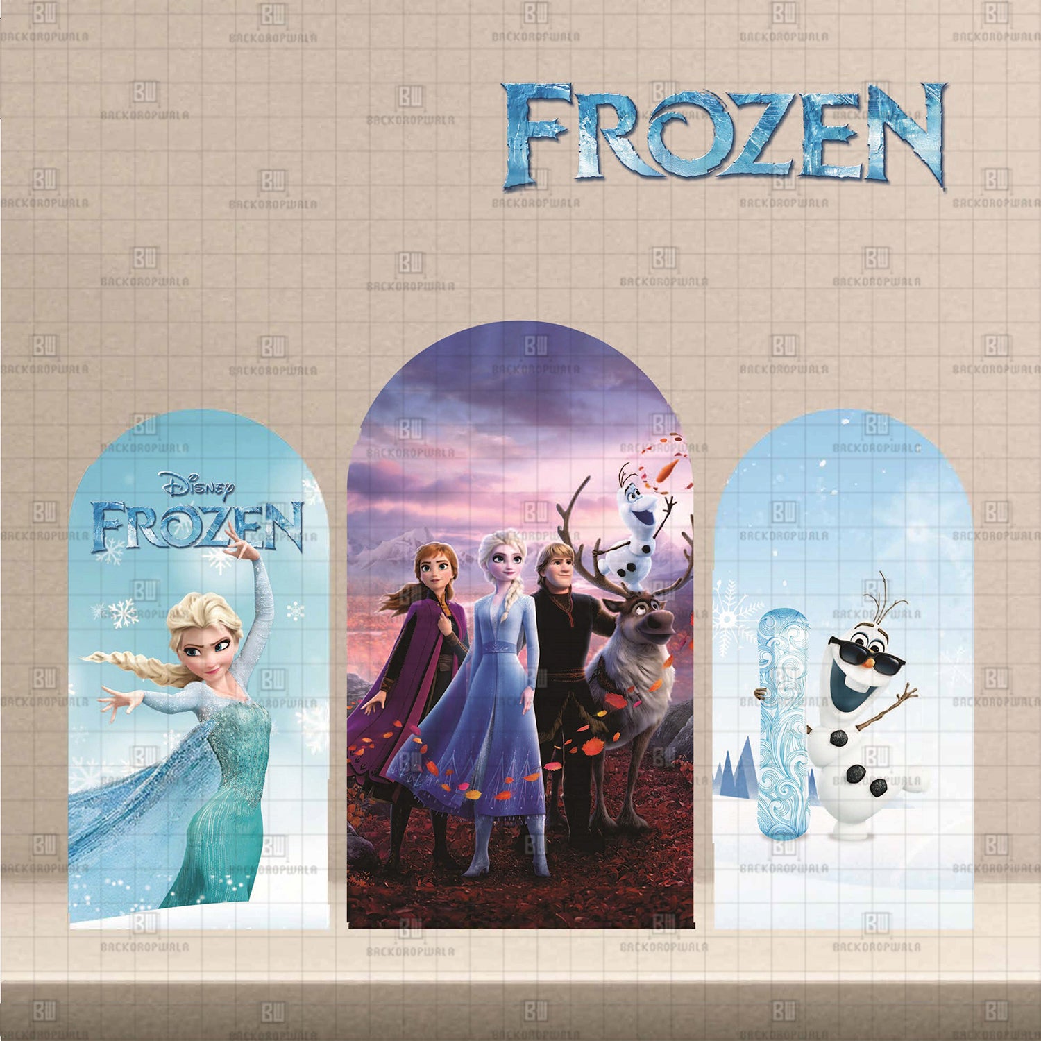 Disney Frozen Theme Printed Event Backdrop