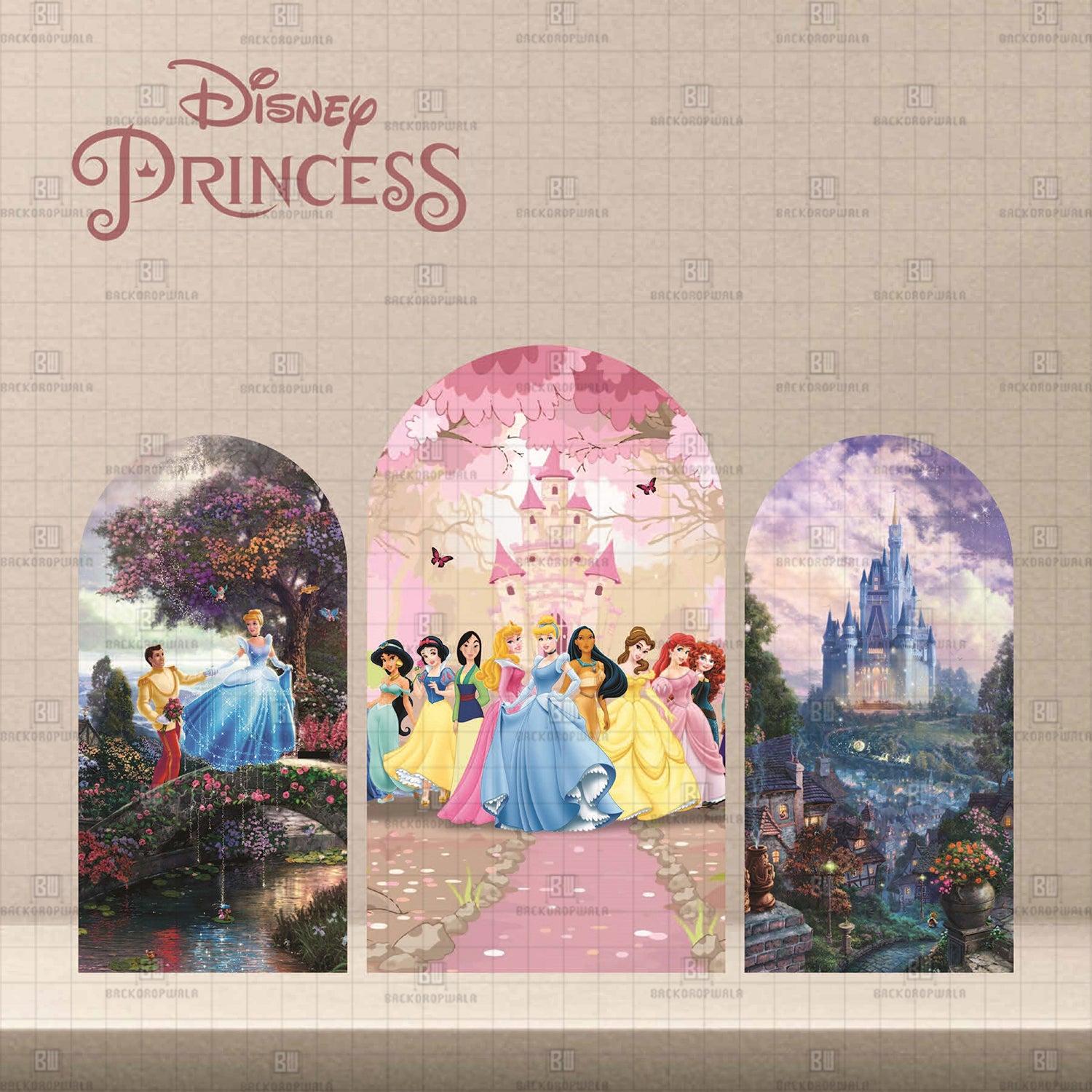 Disney Princess Theme Printed Event Backdrop