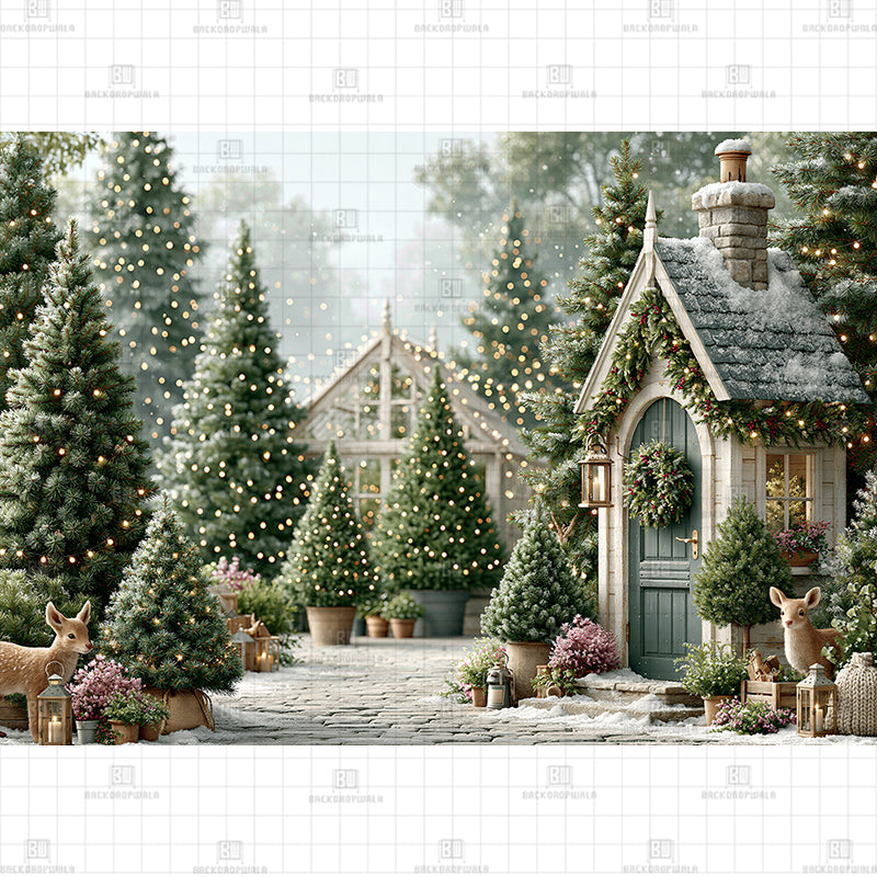 Winter Greenhouse Path Christmas Printed Baby Backdrop