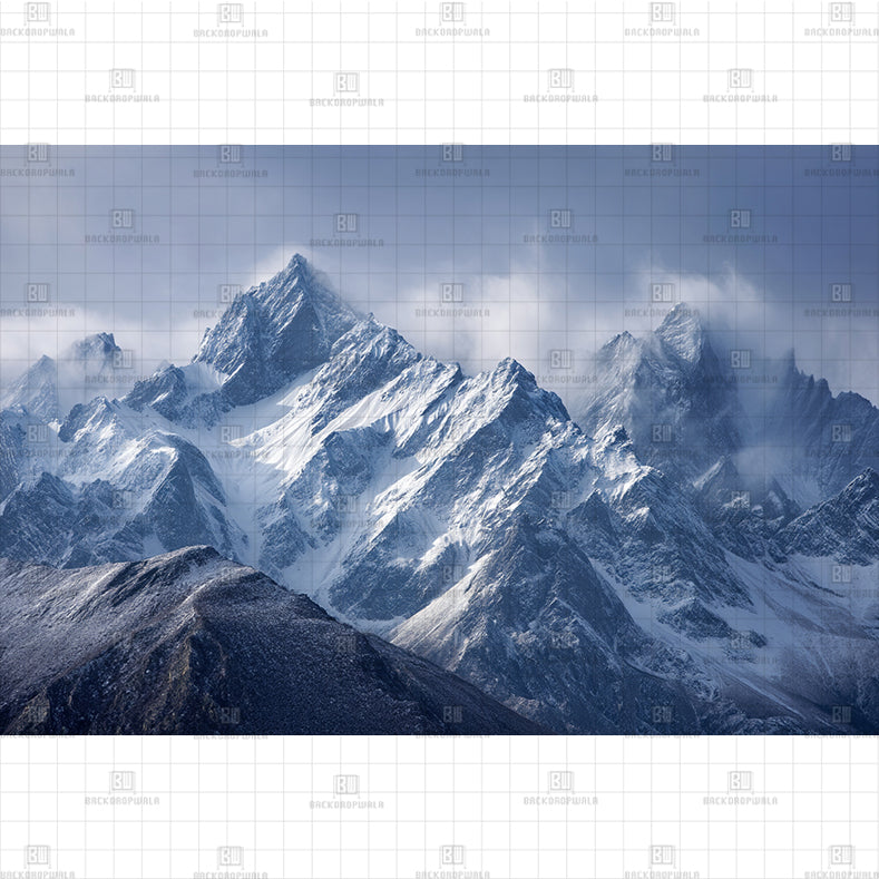 Winter's Domain Printed Backdrop