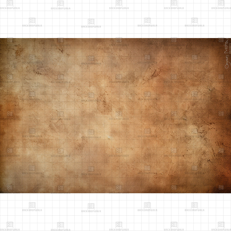Historic BG Printed Baby Backdrop