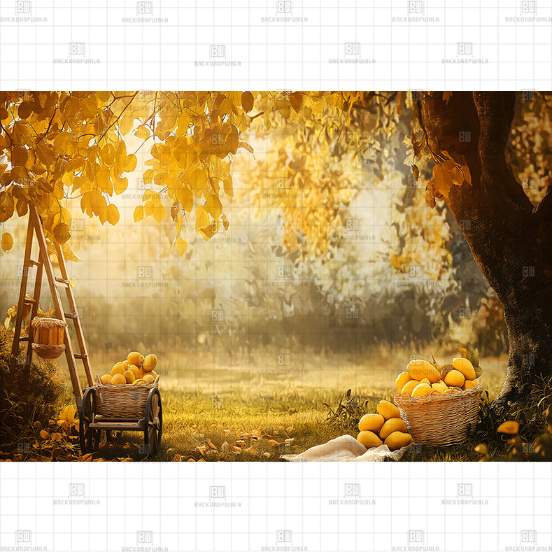Golden Sunbeam Harvest Printed Baby Backdrop
