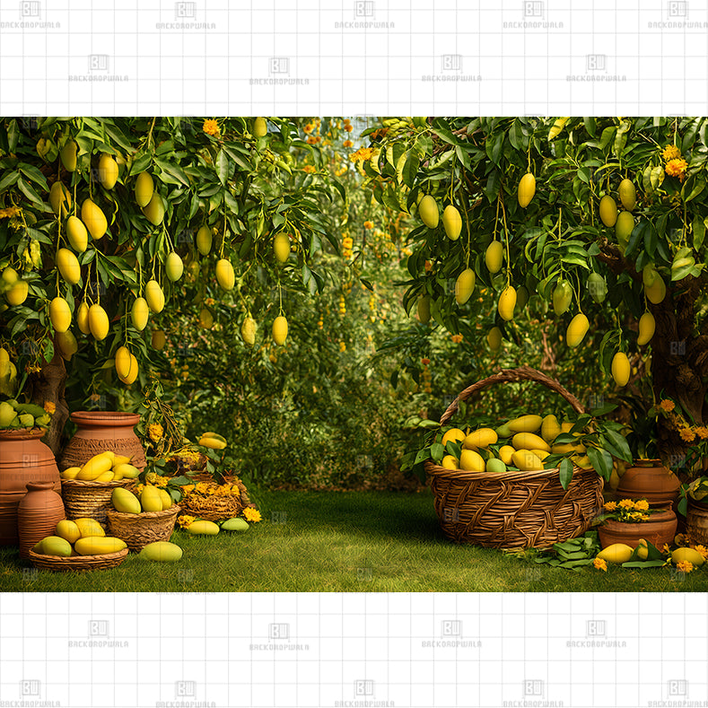 Rustic Baskets & Mango Saplings Printed Baby Backdrop
